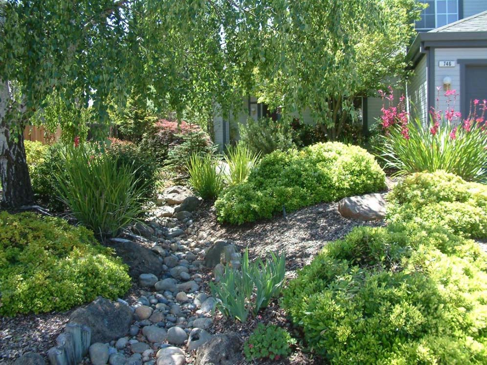 Dry Creek Beds and Perennials