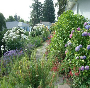 Lawn to Garden: Many Colors Garden