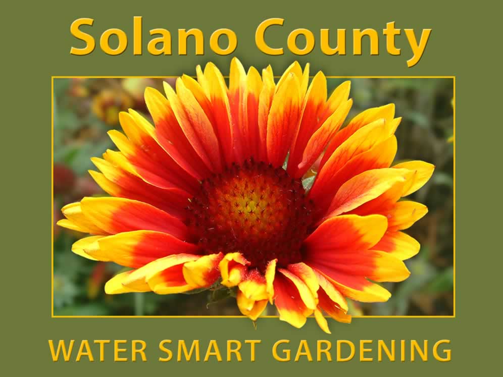 Opening Screen Water Conservation