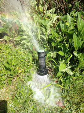 Broken Sprinkler