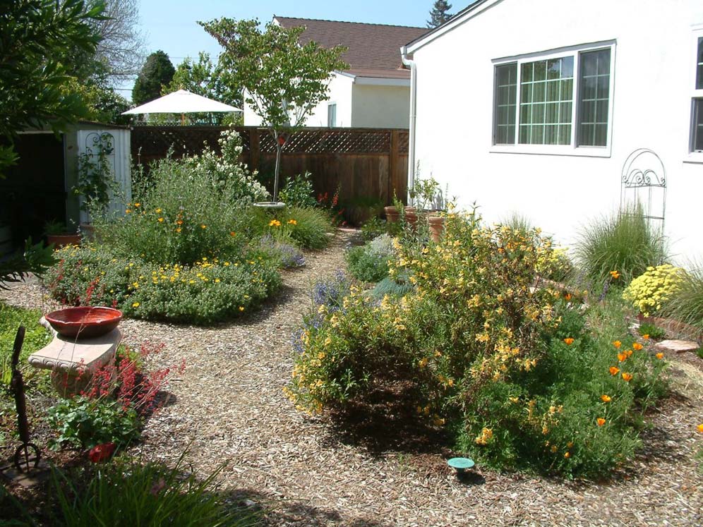 Native Garden