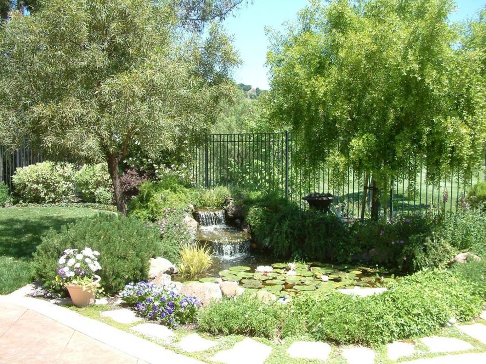 Pond and Waterfall