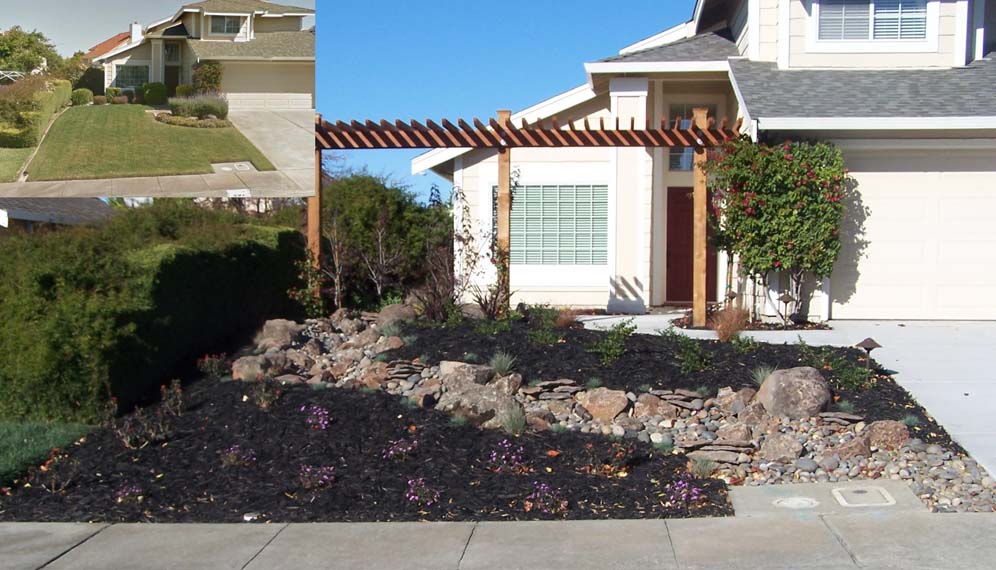 Dry Creek Bed Garden