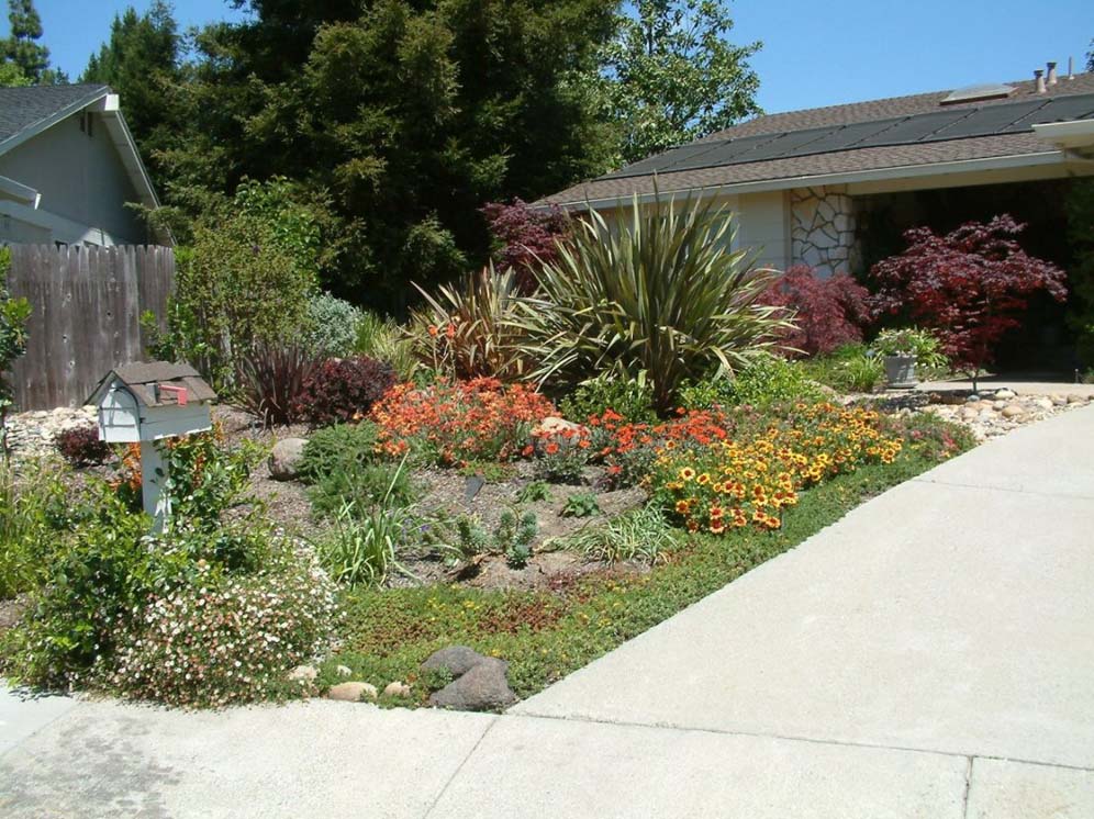 Low Maintenance Gardens