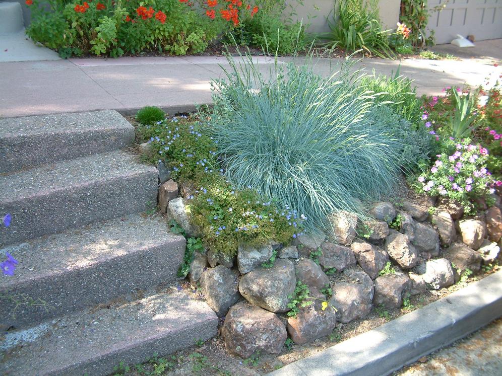 Colorful Hill Garden4