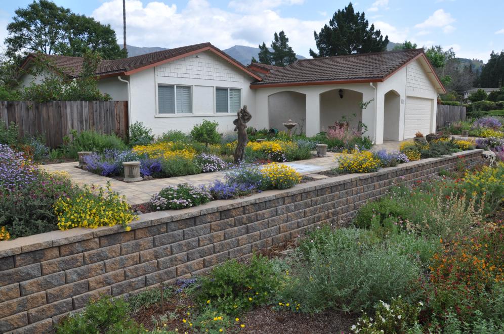 Native Color Garden C2