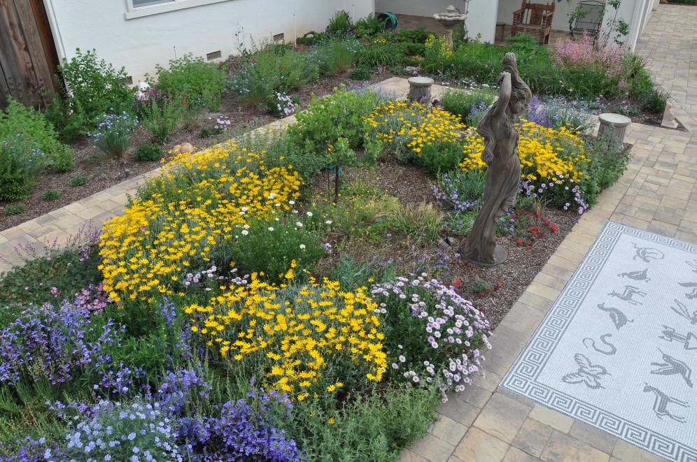 Native Color Garden C3