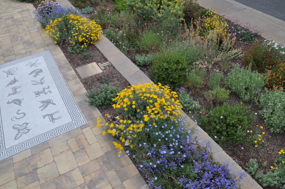 Native Color Garden C5