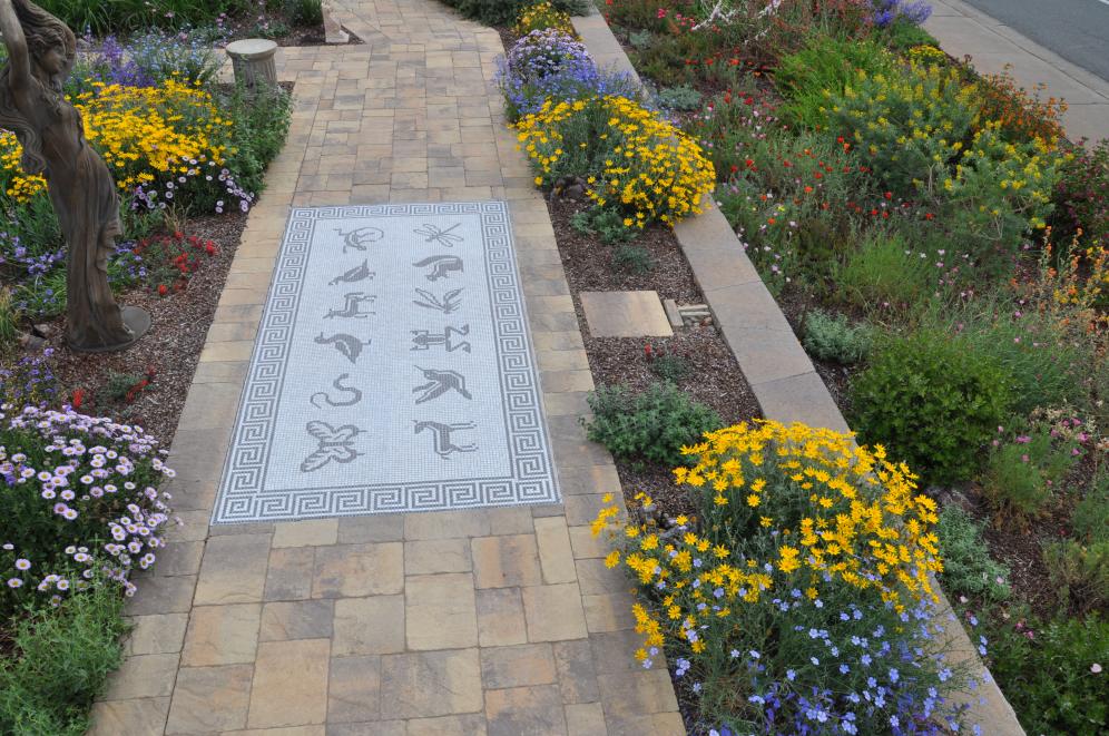 Native Color Garden C6