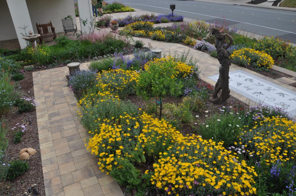Native Color Garden C7