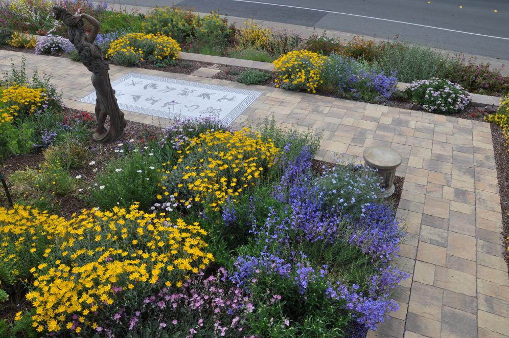 Native Color Garden C8
