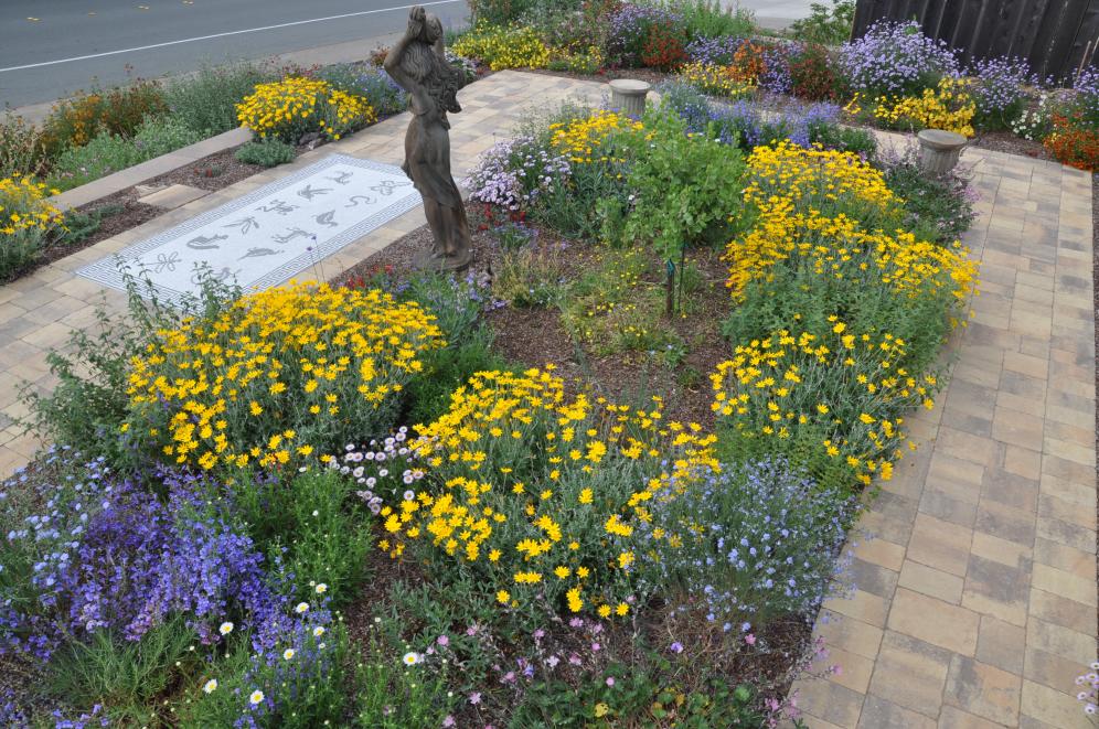 Native Color Garden C9
