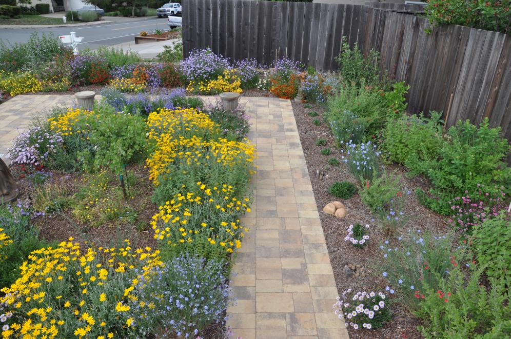 Native Color Garden C10