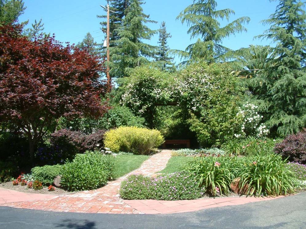 Mature Garden