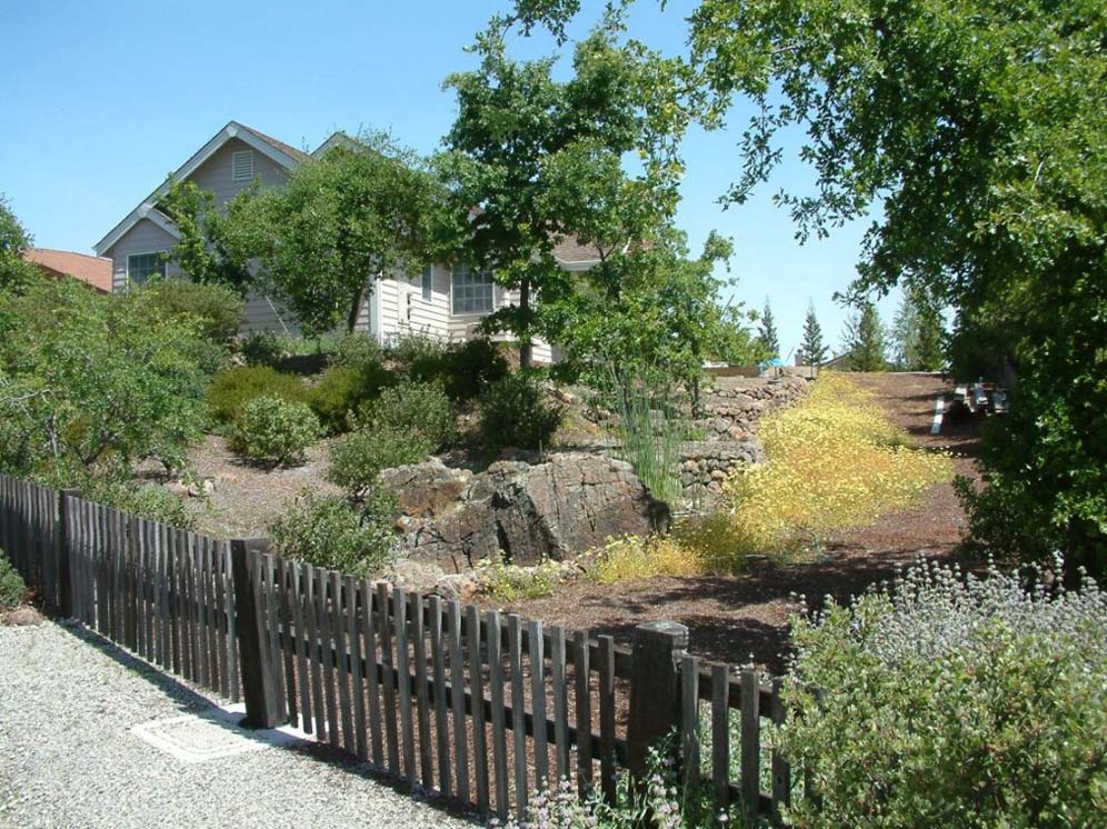 California Native Gardens