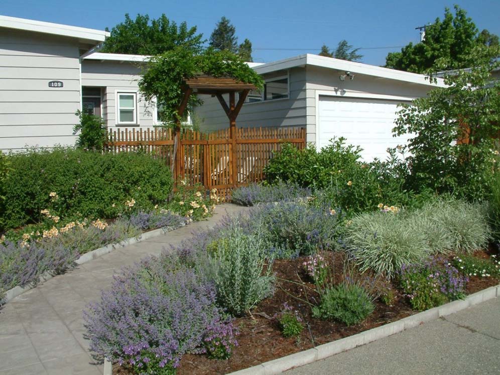 Lavender Welcome