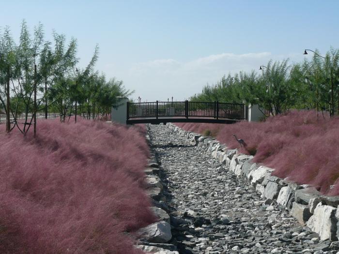 Pink Muhly Regal MistÂ®