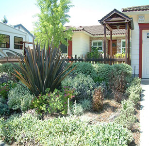 Courtyard Garden