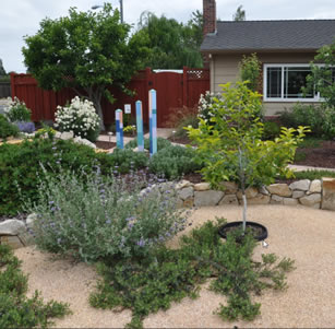 Fruit Tree Garden