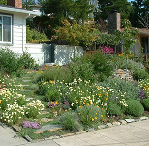 Lawn to Garden Program