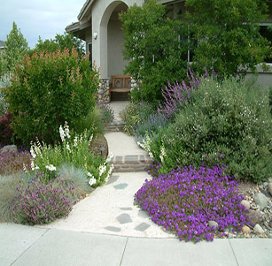 Lush Green Garden