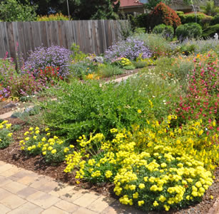 Native Color Garden