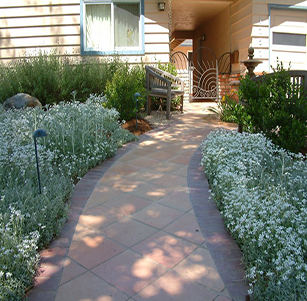 Lawn to Garden: Cool Comfort Garden