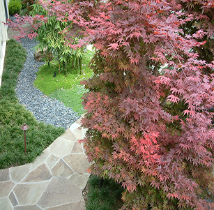 California Courtyard