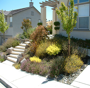 Lawn to Garden: Suburban Splendor