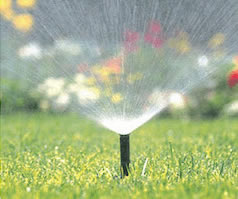 Spray Sprinklers