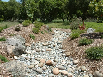 Dry Creek bed